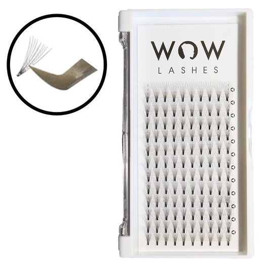 WOWLashes 10 D Wimpernfächer als Tray